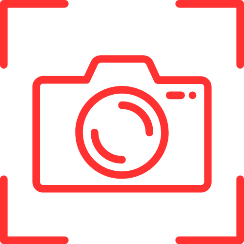 Dallaspigphoto